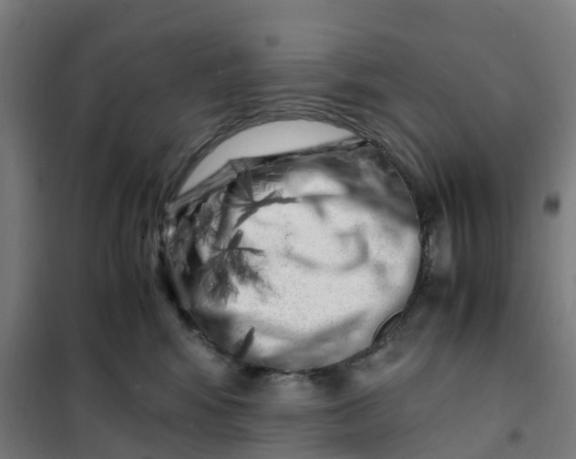 X0000101710424200808071228