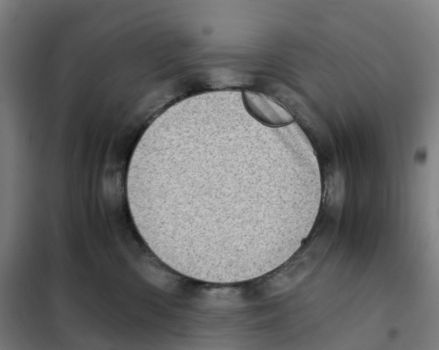 X0000101710426200808071228