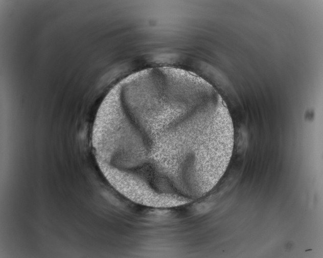X0000101710428200808071227