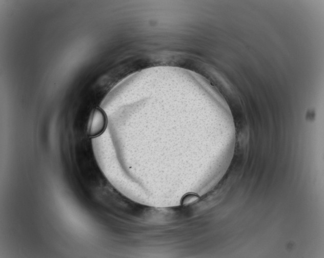 X0000101710429200808071227