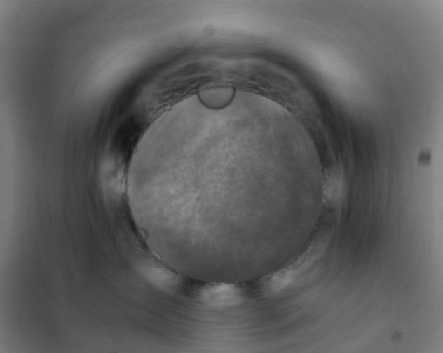 X0000101710431200808071227