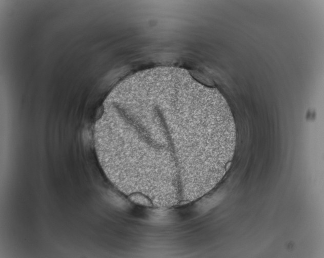 X0000101710432200808071227