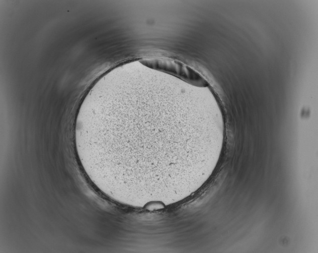 X0000101710433200808071227