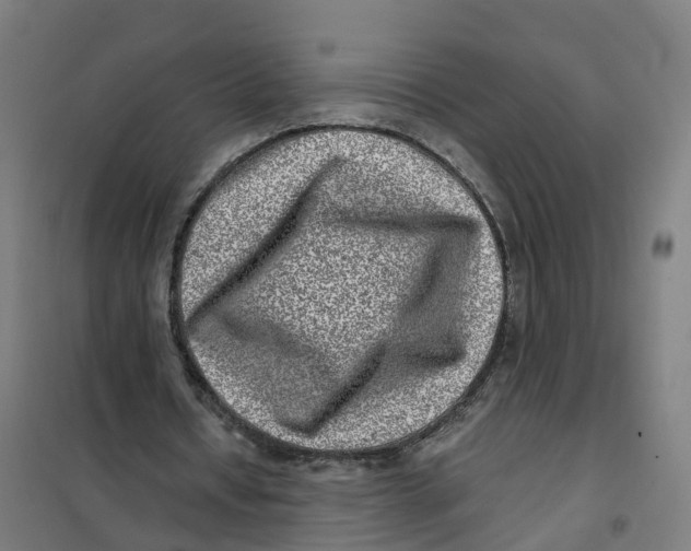 X0000101710434200808071227