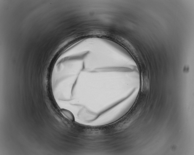 X0000101710435200808071227