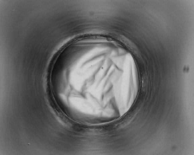 X0000101710436200808071227