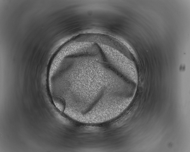 X0000101710437200808071227