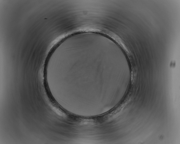 X0000101710438200808071227