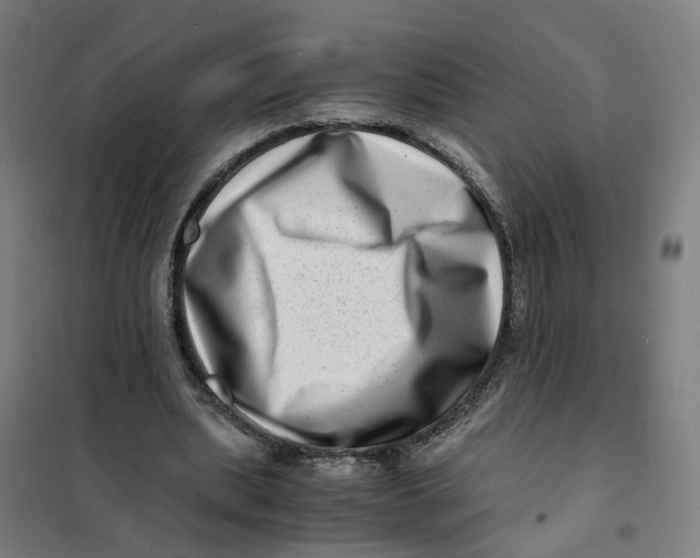 X0000101710439200808071227