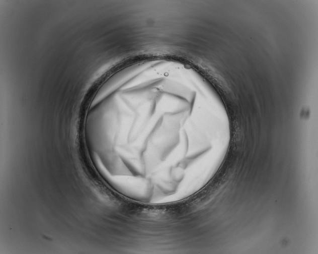X0000101710440200808071227