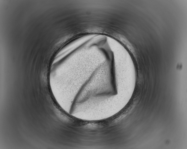 X0000101710441200808071227