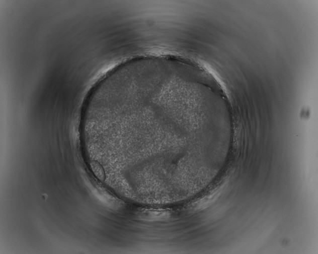 X0000101710443200808071227