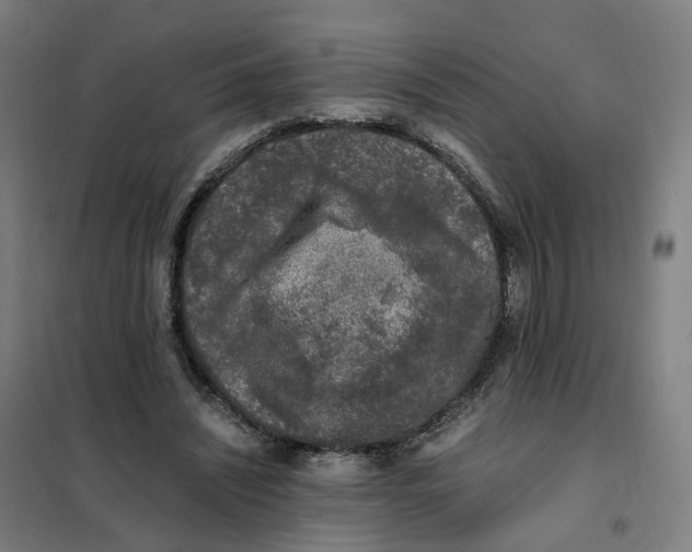 X0000101710444200808071227