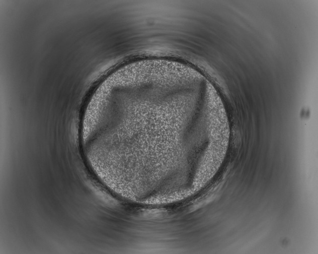 X0000101710446200808071227