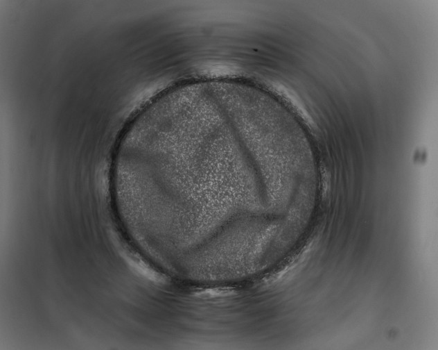 X0000101710447200808071227