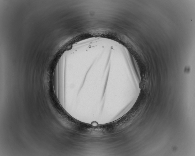X0000101710448200808071227