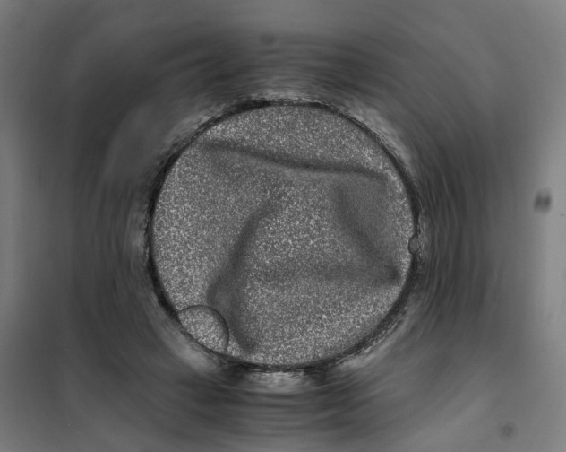 X0000101710449200808071227