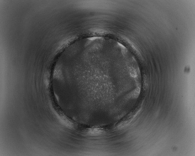 X0000101710451200808071227