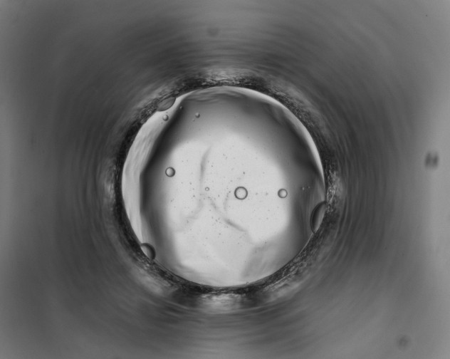 X0000101710452200808071227