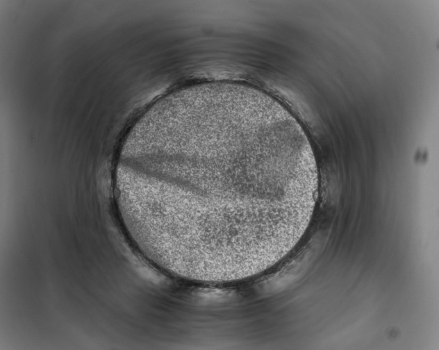 X0000101710453200808071227