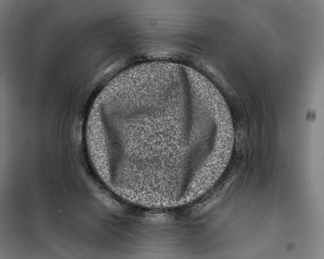 X0000101710454200808071227
