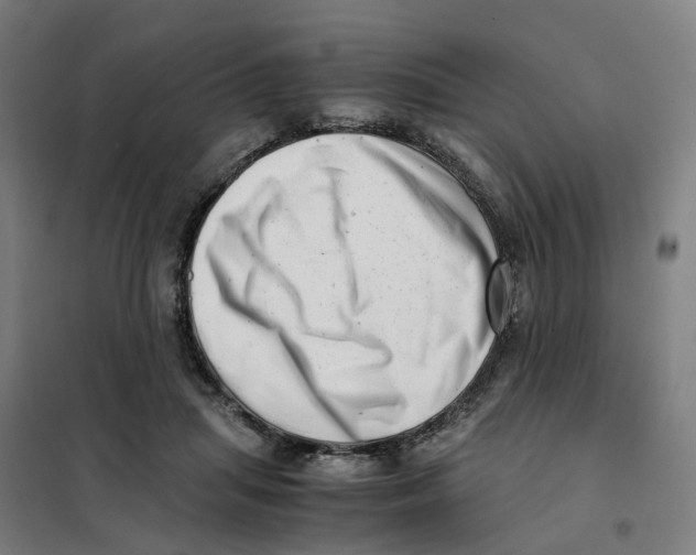X0000101710455200808071227