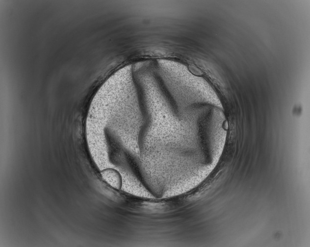 X0000101710457200808071227