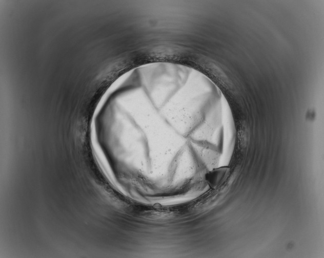 X0000101710458200808071227