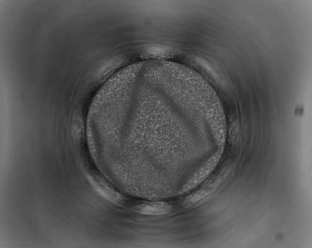X0000101710459200808071227