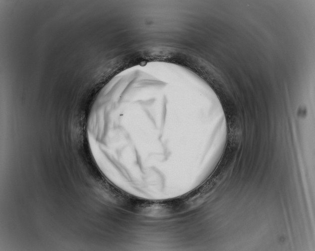 X0000101710460200808071227