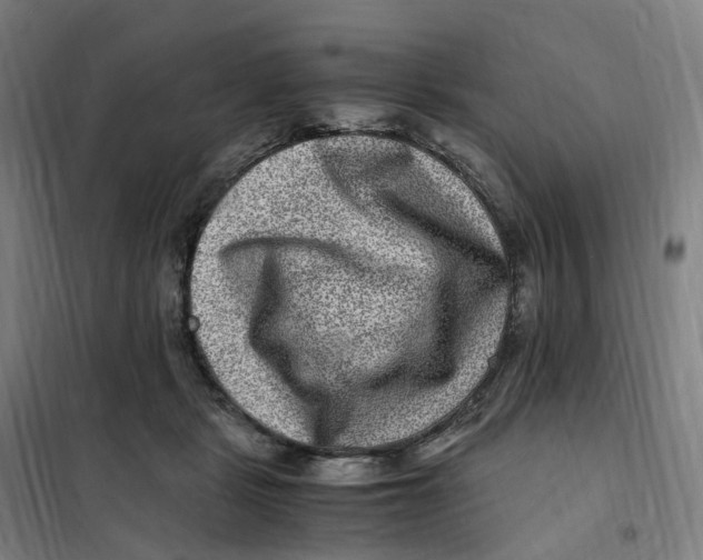 X0000101710461200808071227