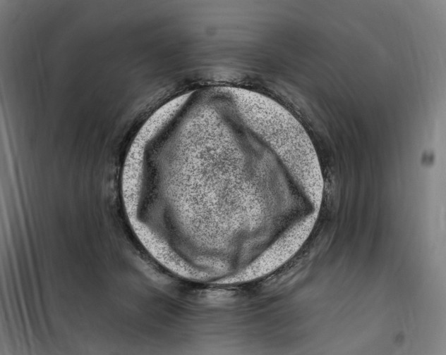 X0000101710462200808071227