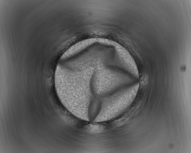 X0000101710464200808071227