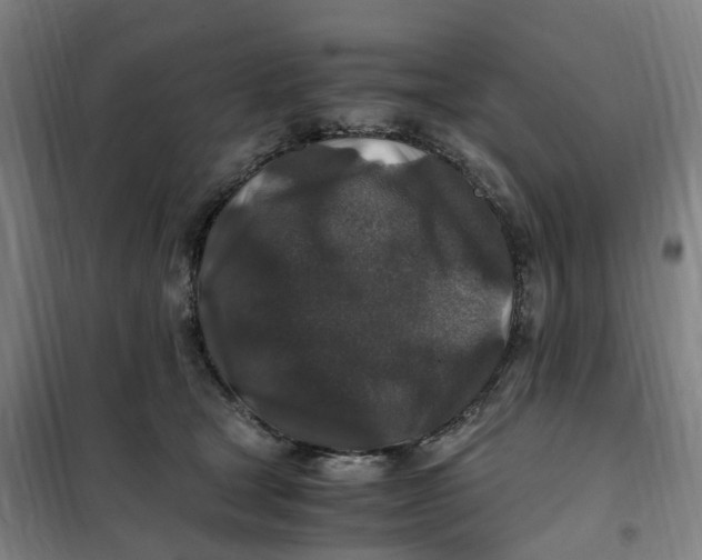 X0000101710465200808071227