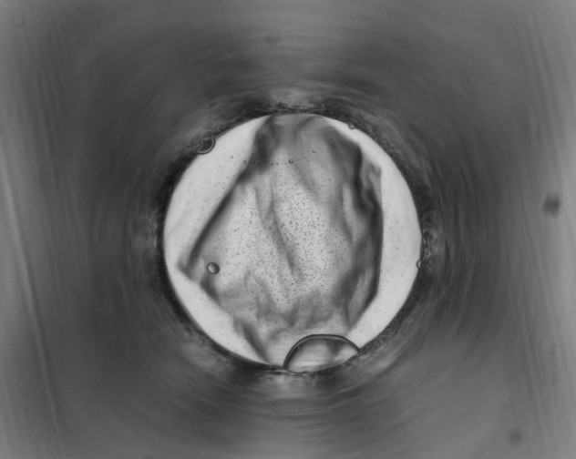 X0000101710466200808071227