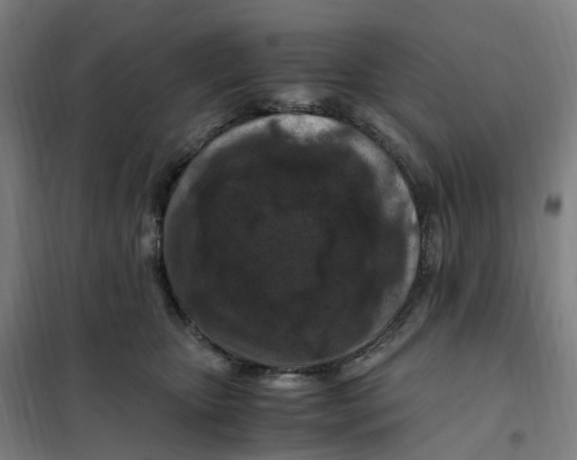 X0000101710467200808071227