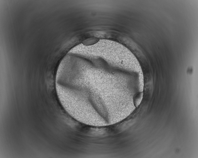 X0000101710469200808071227