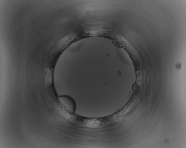 X0000101710471200808071227