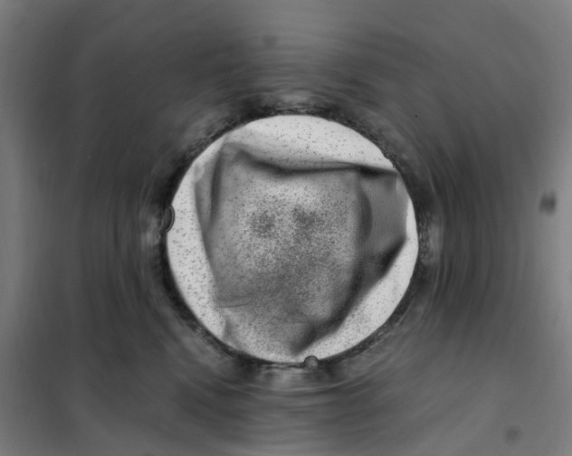 X0000101710472200808071227