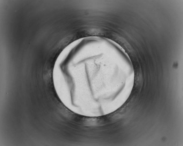 X0000101710473200808071227