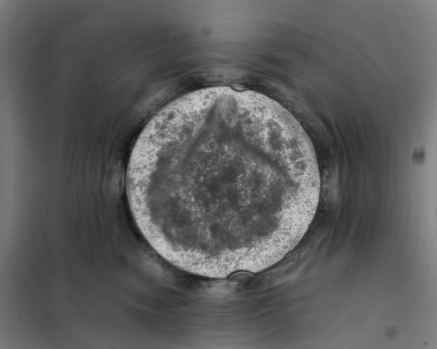 X0000101710474200808071227