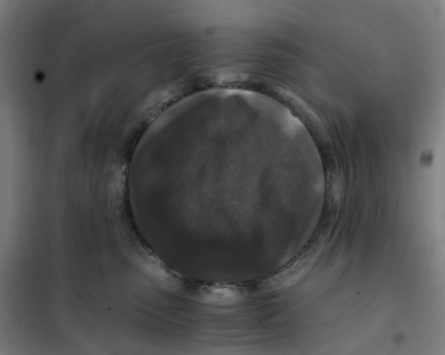 X0000101710475200808071227