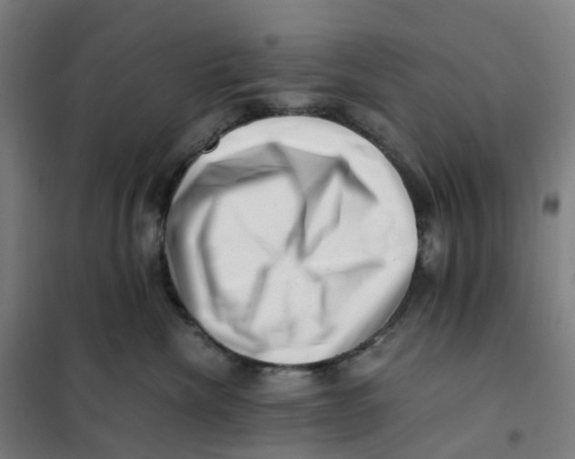 X0000101710476200808071227