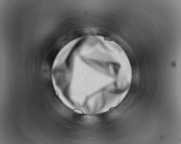 X0000101710477200808071227
