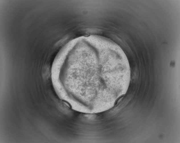 X0000101710478200808071227