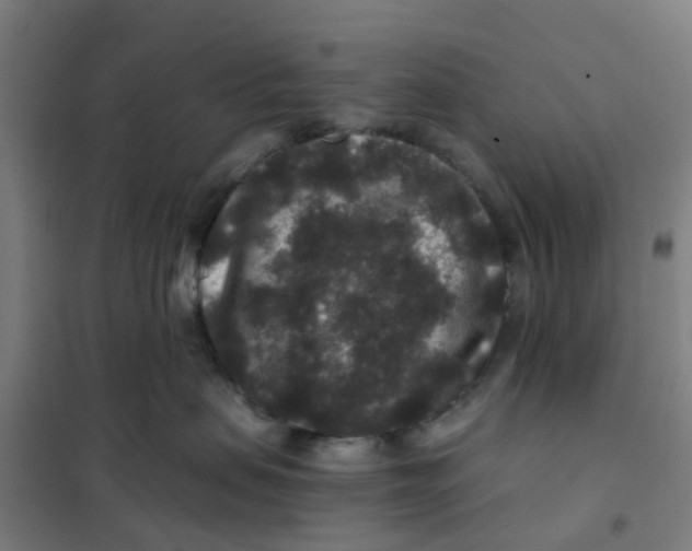 X0000101710479200808071227