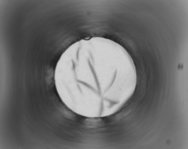 X0000101710480200808071227