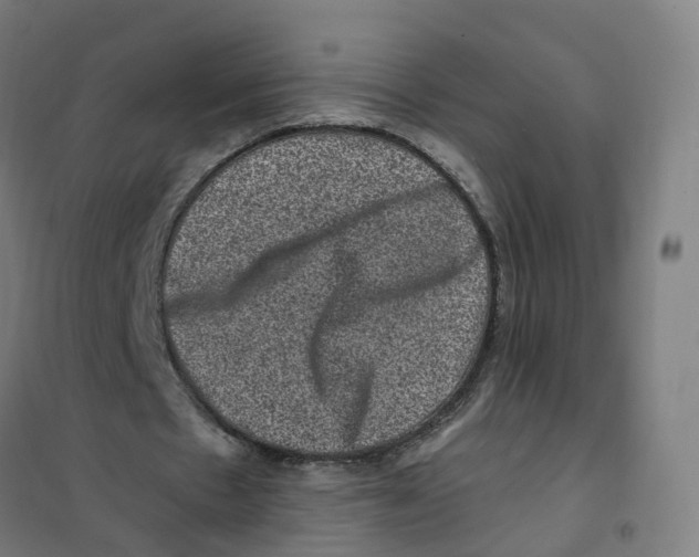 X0000101710481200808071227