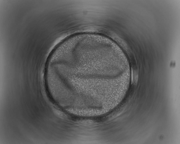 X0000101710483200808071227