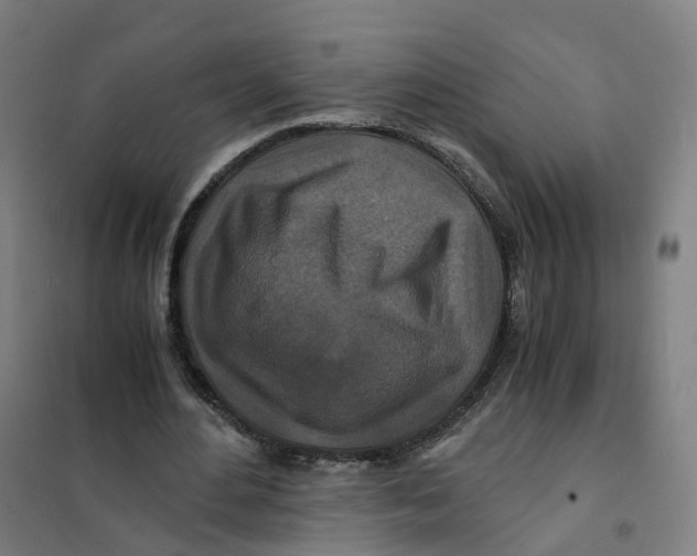 X0000101710484200808071227